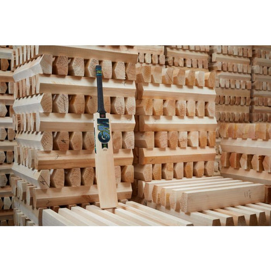 Gunn & Moore Aion DXM 606 Cricket Bat On Pile of Wood