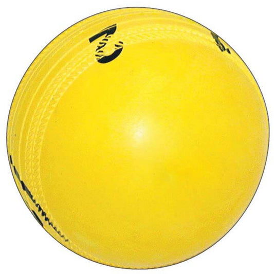 Gray Nicolls Spin Ball