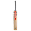 Gray Nicolls Silver Cricket Bat