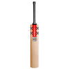 Gray Nicolls Silver Cricket Bat