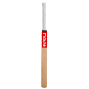 Gray-Nicolls Technique 55 Training Bat