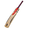 Gray Nicolls Crest Light Cricket Bat