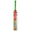 Gray Nicolls Tempesta 850 Play Now Cricket Bat