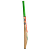 Gray Nicolls Tempesta 850 Play Now Cricket Bat