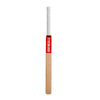 Gray-Nicolls Technique 55 Training Bat