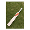 Gray-Nicolls Technique 85 Training Bat (English Willow)