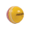 Aero Trainer (Red/Yellow)  Cricket Balls