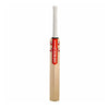 Cricket bat with a brand logo on a white background