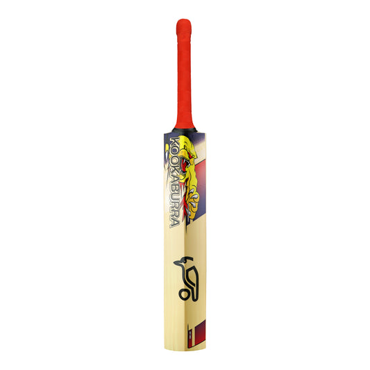 Cricket bat with red handle and Kookaburra logo on a white background, Kookaburra Kasmir Beast Pro 9.0 Cricket Bat