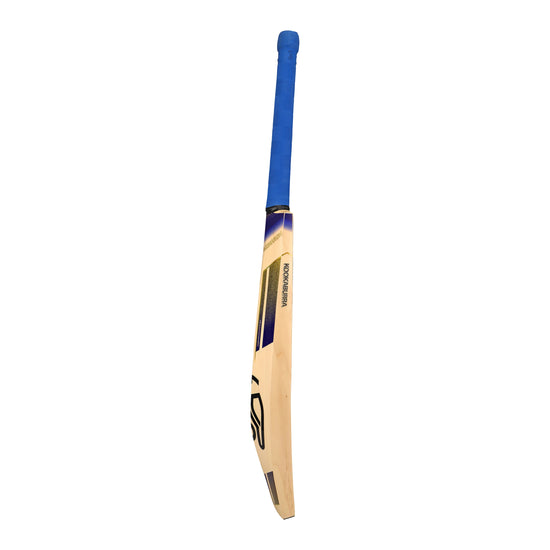Cricket bat with blue handle on a white background
