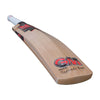 Gunn & Moore Radon Select Bat