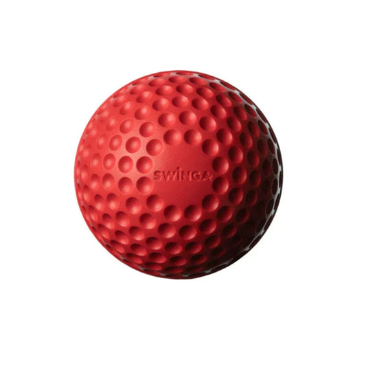 Swinga Practice Ball – Top Choice in Cricket Balls

