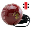 Gray Nicolls Ball on a String