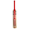 Gray Nicolls Astro 950 Play Now Cricket Bat