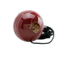 Gray Nicolls Ball on a String