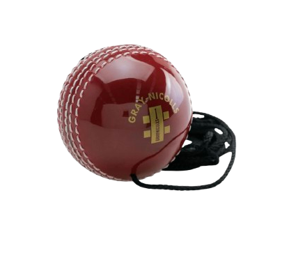 Gray Nicolls Ball on a String