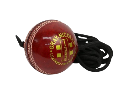 Gray Nicolls Batting Master Training Leather Ball