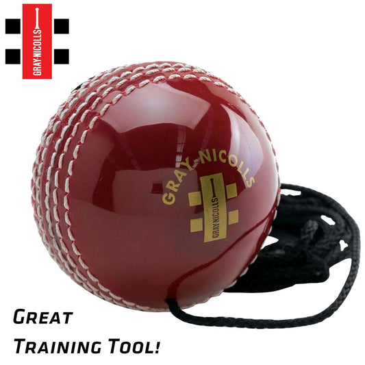 Gray Nicolls Batting Master Training Leather Ball - Cricket World Australia