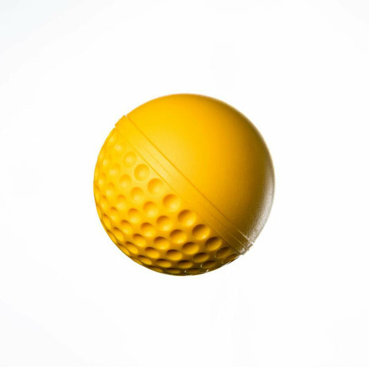 Swinga Practice Ball