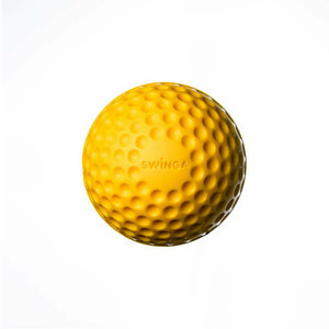 Swinga Practice Ball